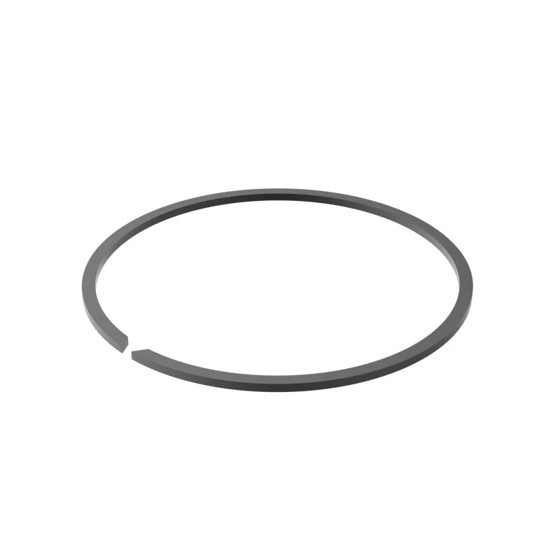 Anello bloccaggio con foro SW
